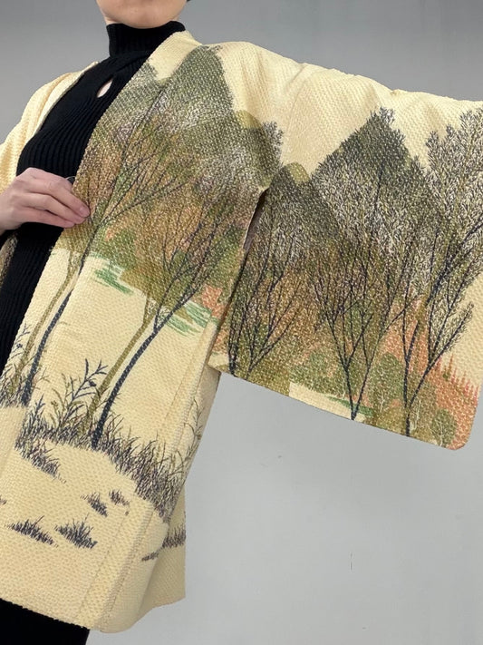 VINTAGE SHIBORI HAORI "hayashi, SIB104"