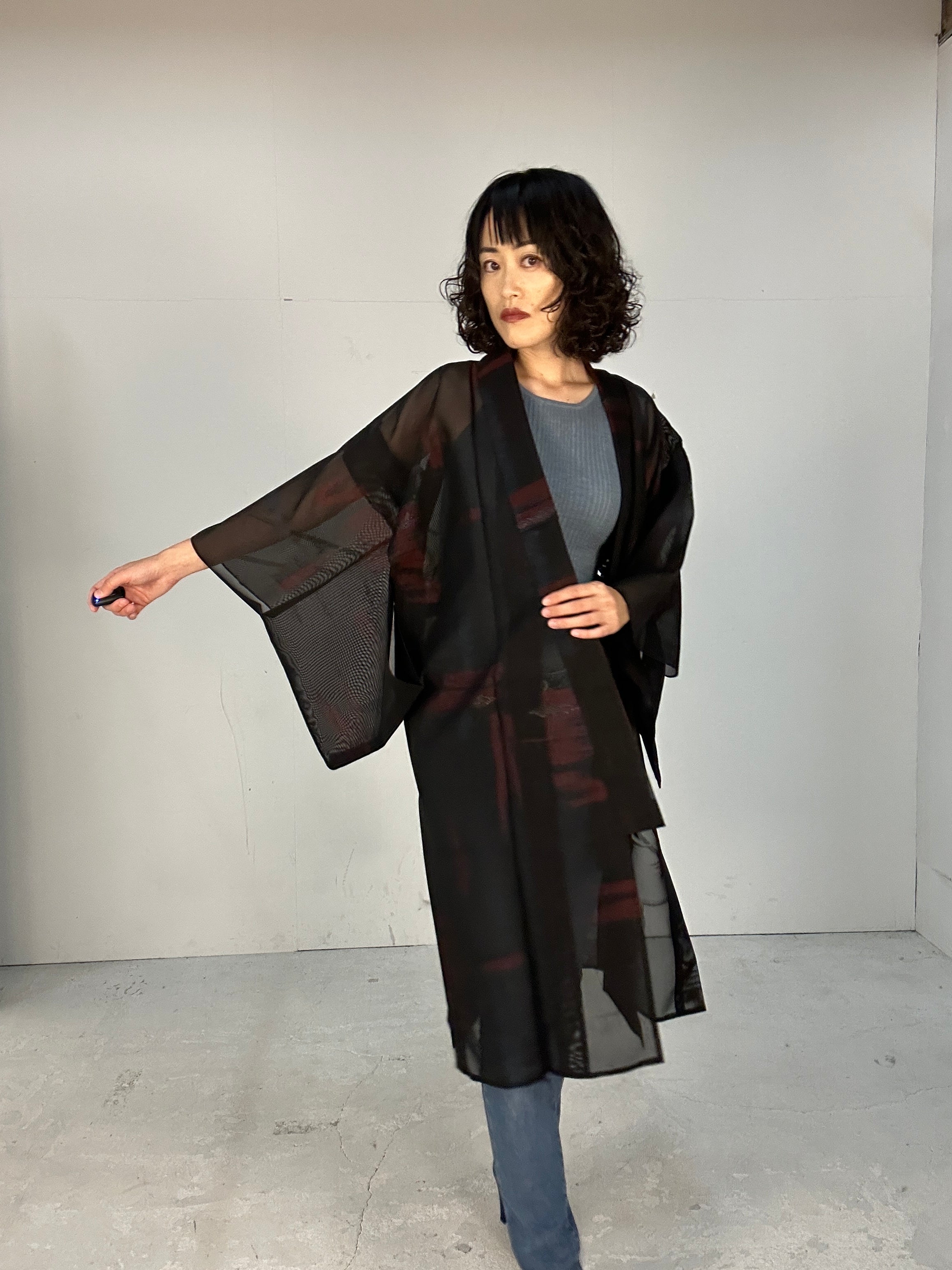 Sheer hotsell kimono dress