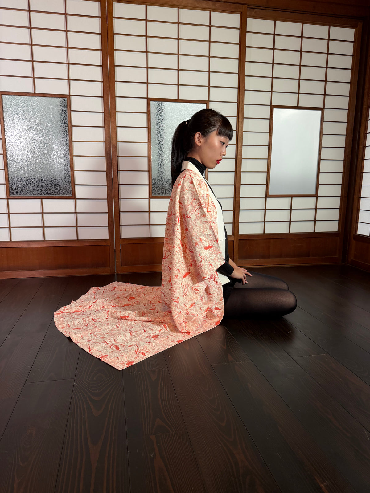 VINTAGE NAGAJYUBAN "hime-dukushi, JUG003"
