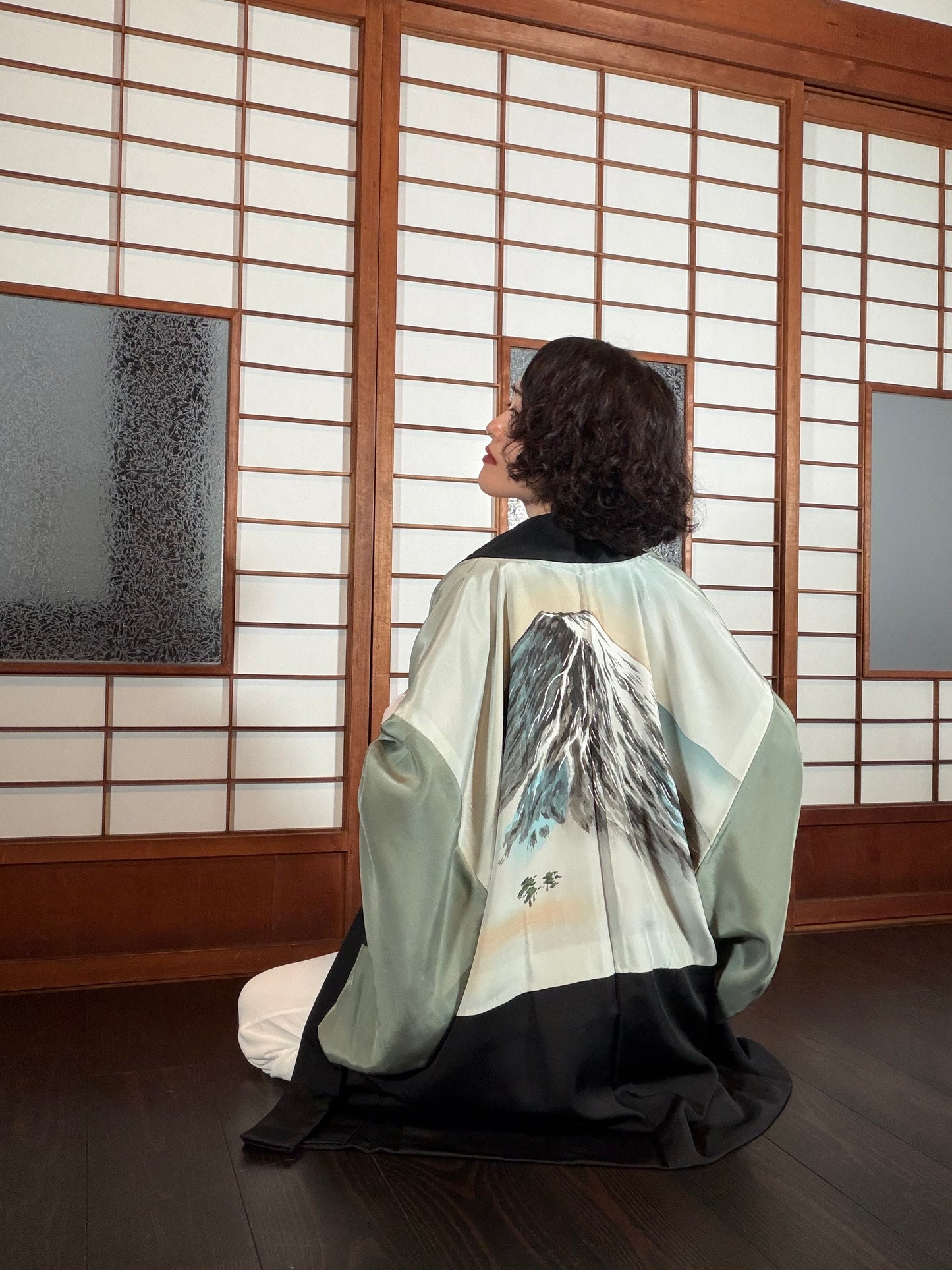 VINTAGE KUROMONTSUKI HAORI "fuji, KUR127"