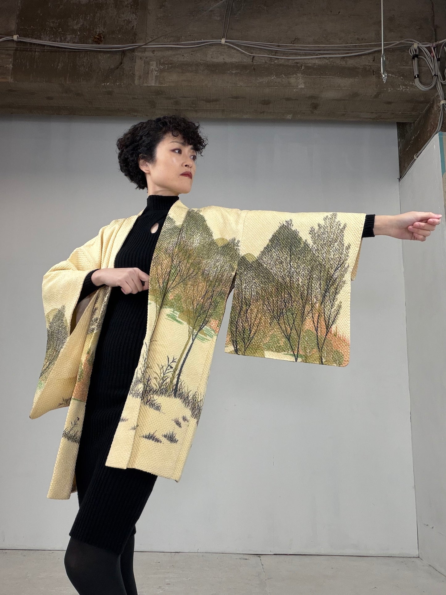 VINTAGE SHIBORI HAORI "hayashi, SIB104"