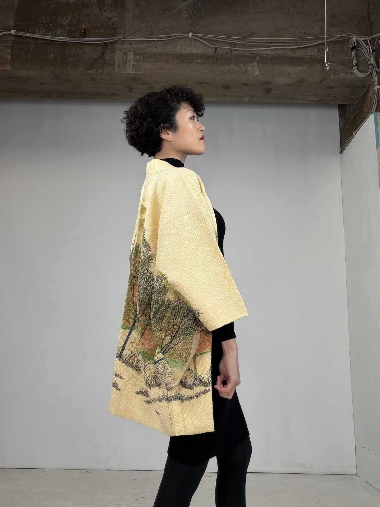 VINTAGE SHIBORI HAORI "hayashi, SIB104"