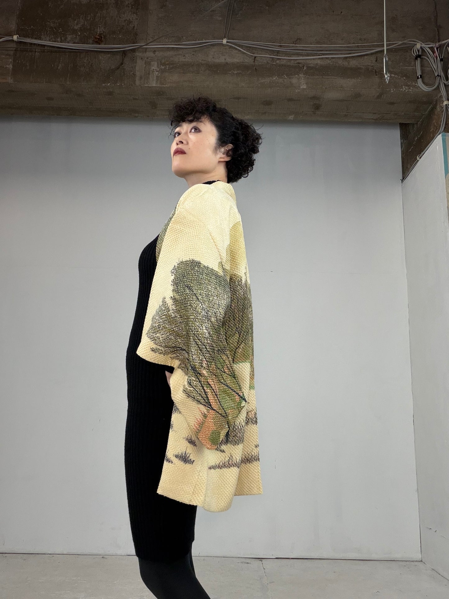 VINTAGE SHIBORI HAORI "hayashi, SIB104"